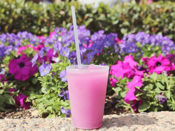violet_lemonade_epcot_flower_garden_festival