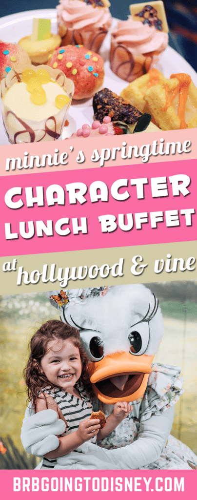 Minnie's Springtime Dine Character Lunch Buffet at Disney World Hollywood & Vine