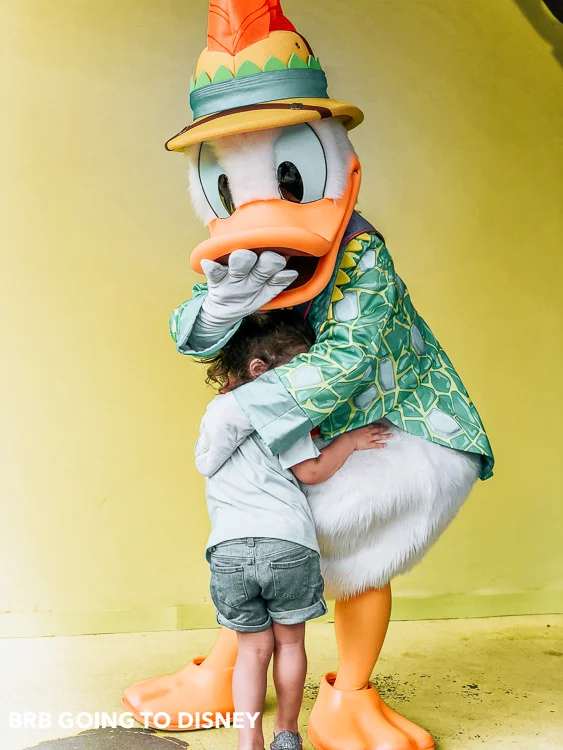 Donalds Dino Bash