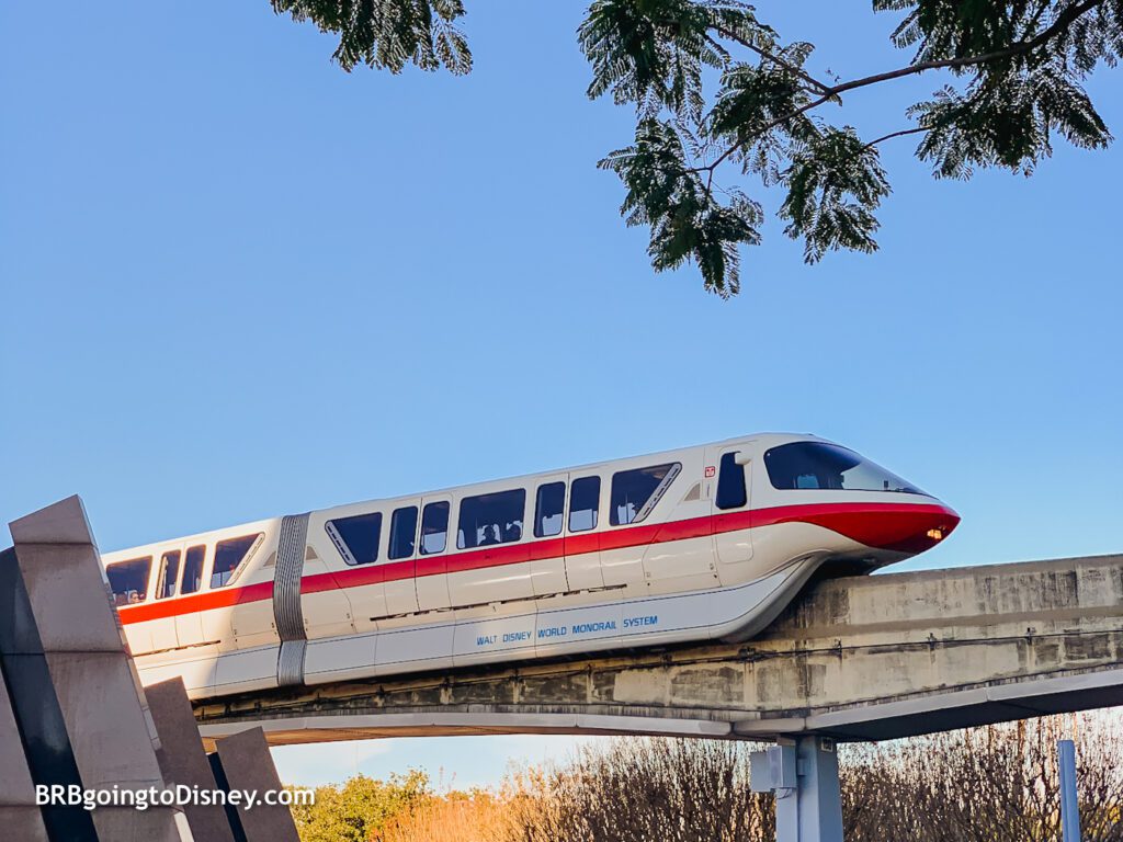 2023 Theme Park Express Transportation to Walt Disney World