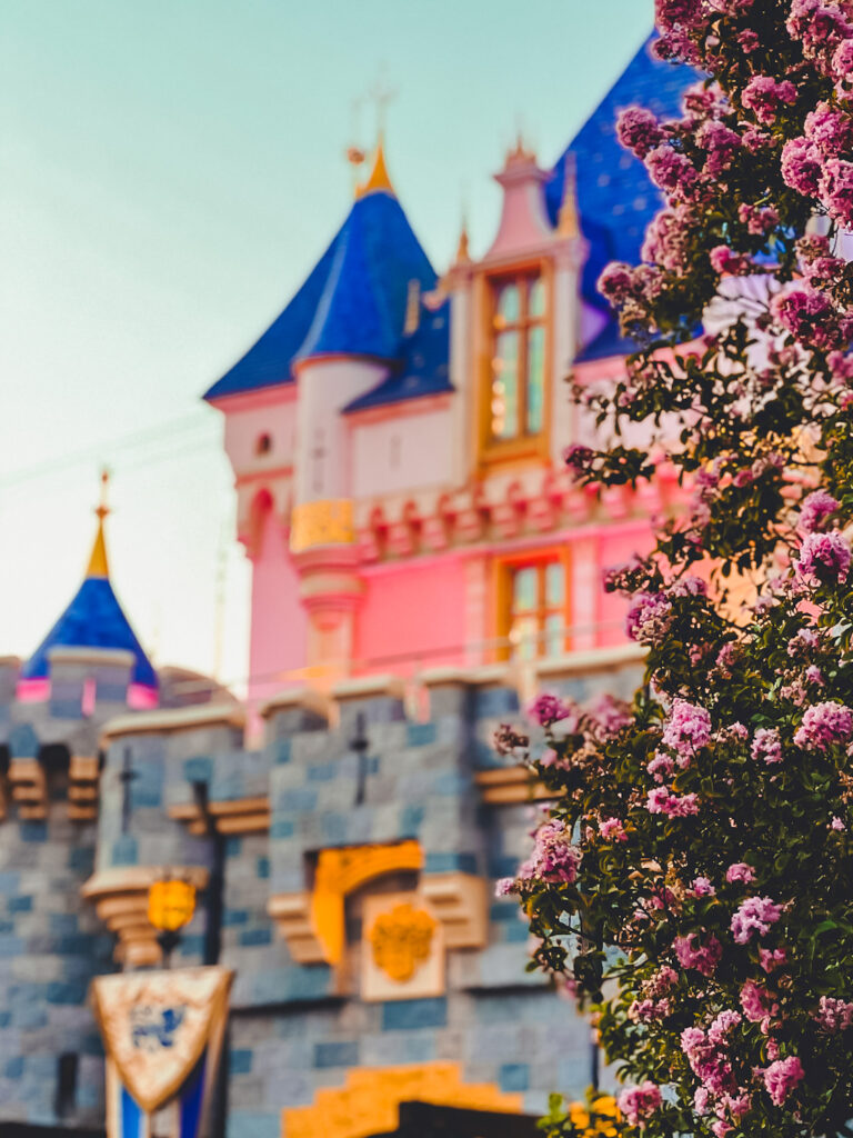 Which Princesses Are At Magic Kingdom & Where To Find Them | 2023 | Brb ...