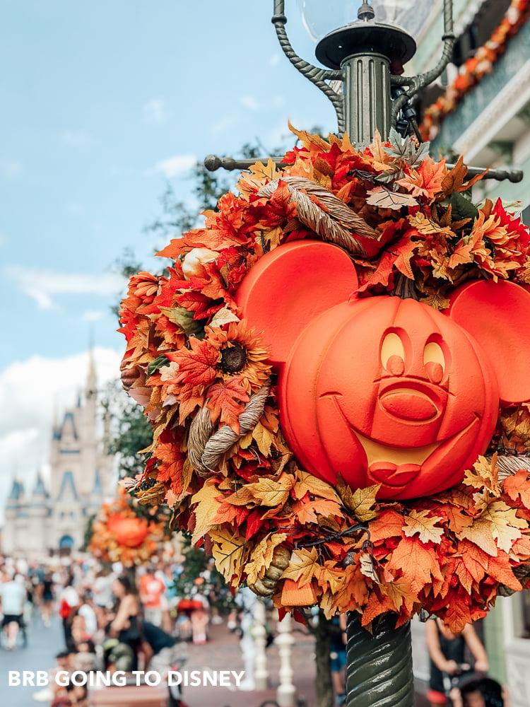 Tips for Mickey’s Not So Scary Halloween Party with a Toddler or ...