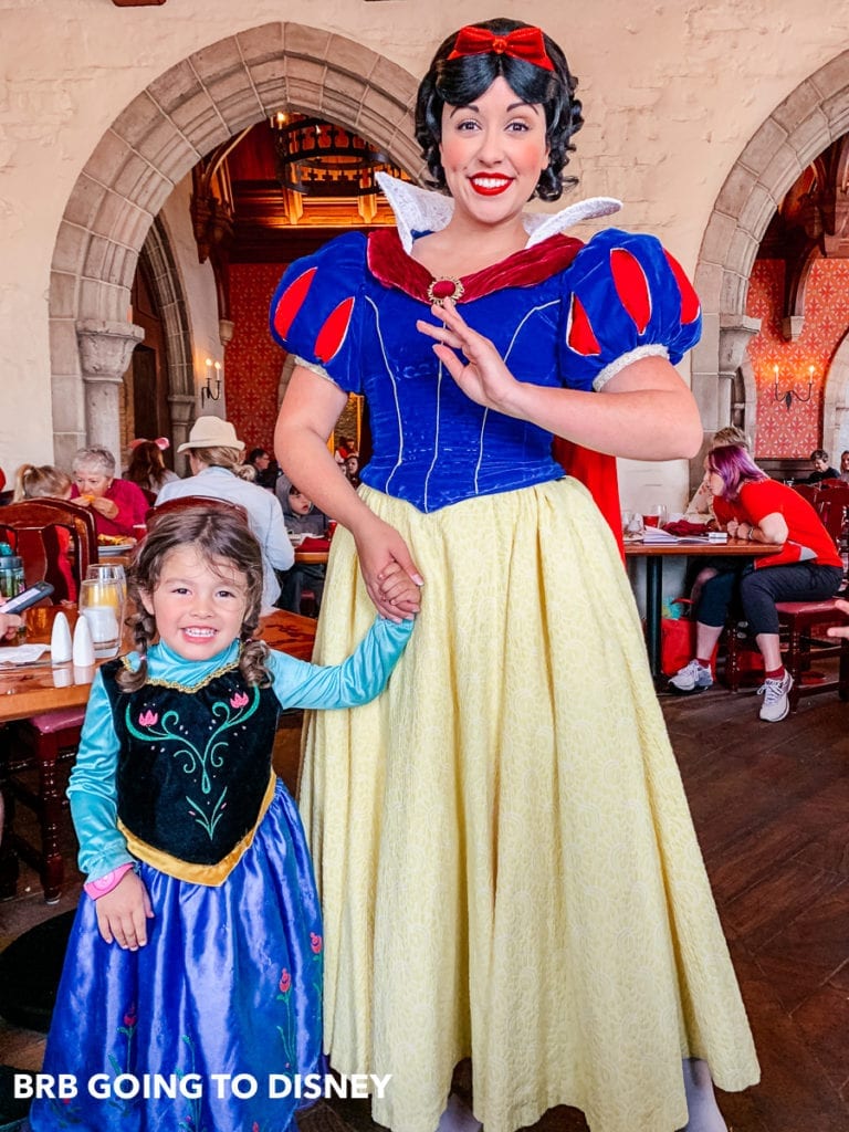 Akershus Breakfast Review — Princess Storybook Breakfast in Epcot – BRB ...