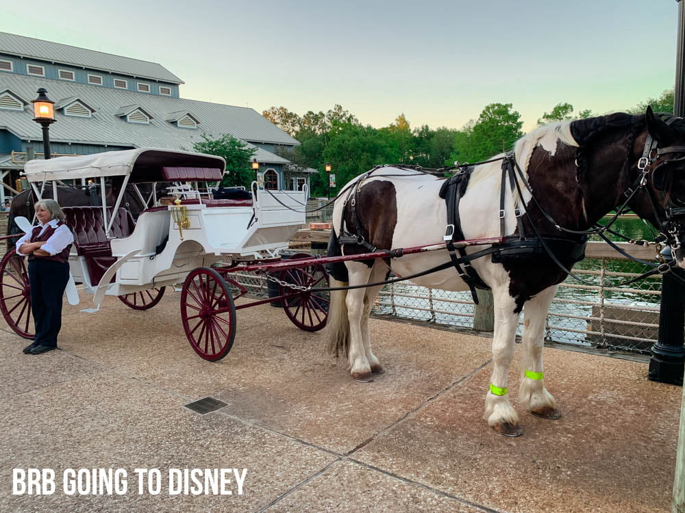 My Favorite Walt Disney World Resorts | brb going to disney